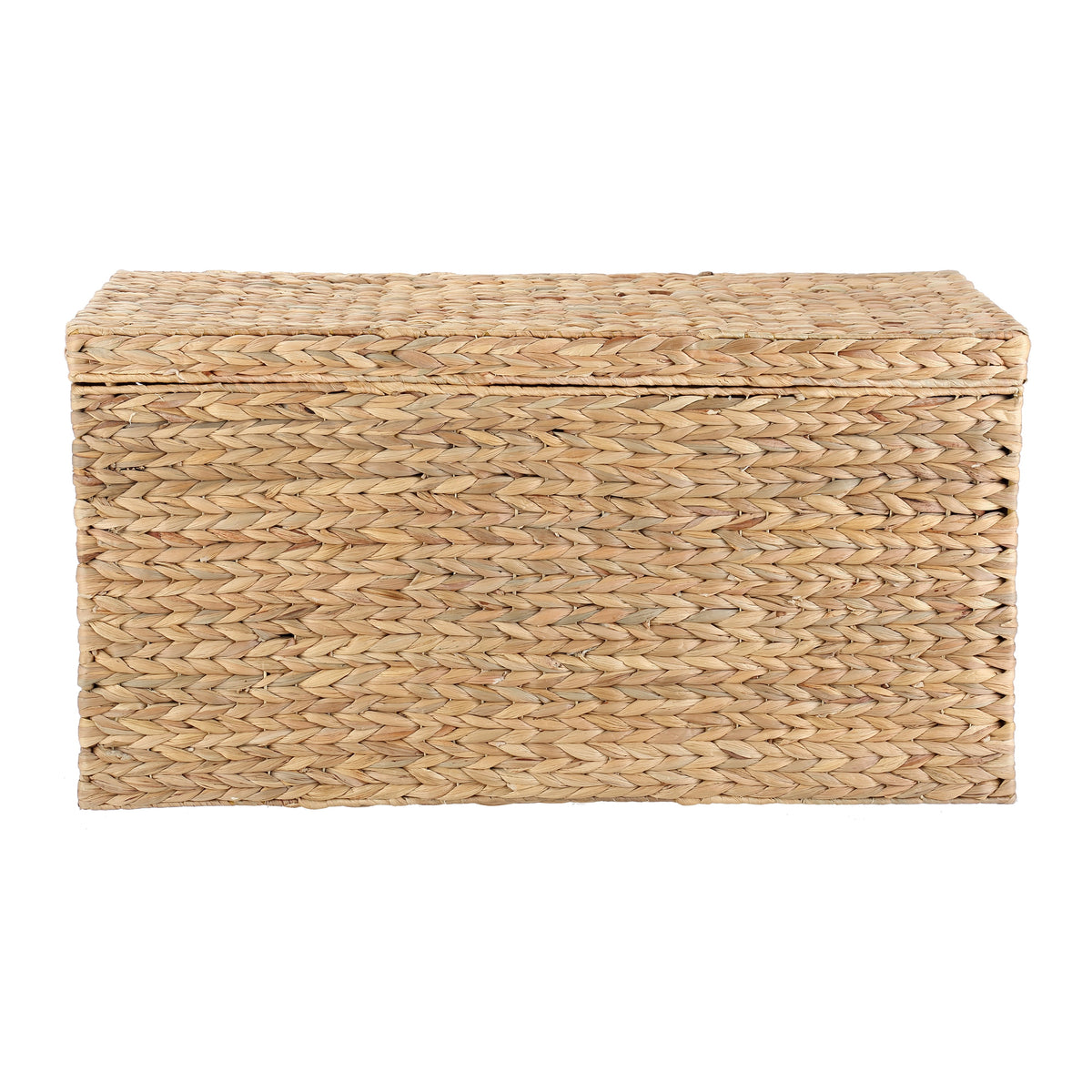 AVERO™ XL Hyacinth Storage Trunk - AVERO™