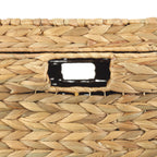 AVERO™ XL Hyacinth Storage Trunk - AVERO™
