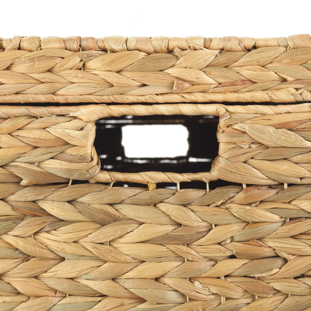 AVERO™ XL Hyacinth Storage Trunk - AVERO™