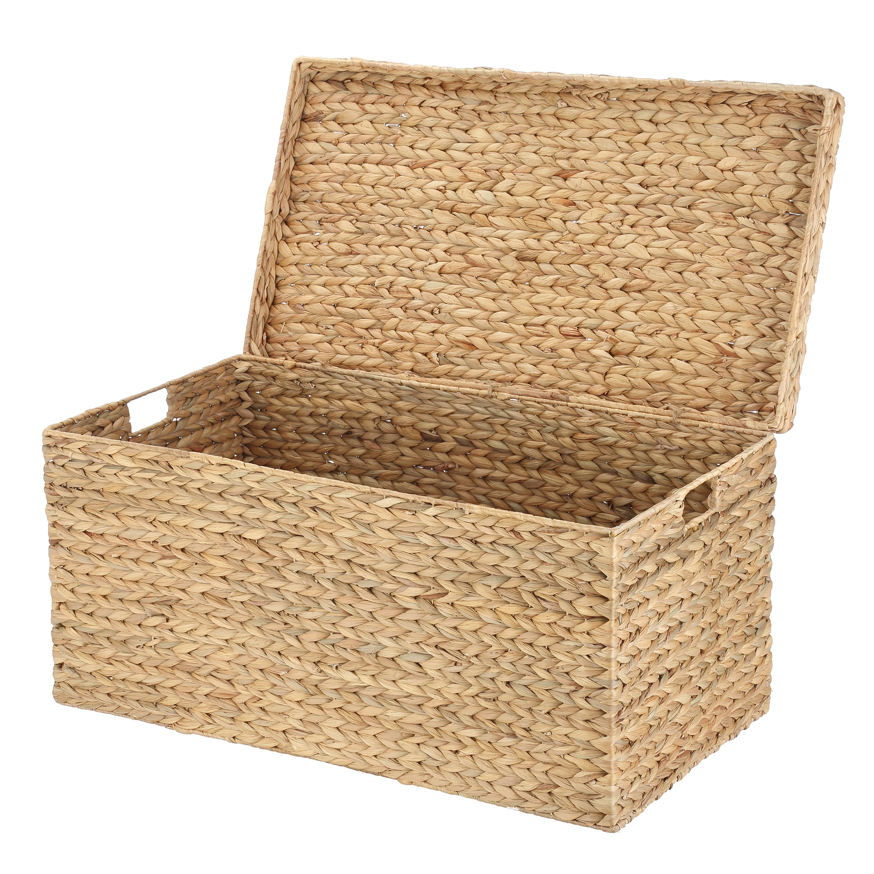 AVERO™ XL Hyacinth Storage Trunk - AVERO™