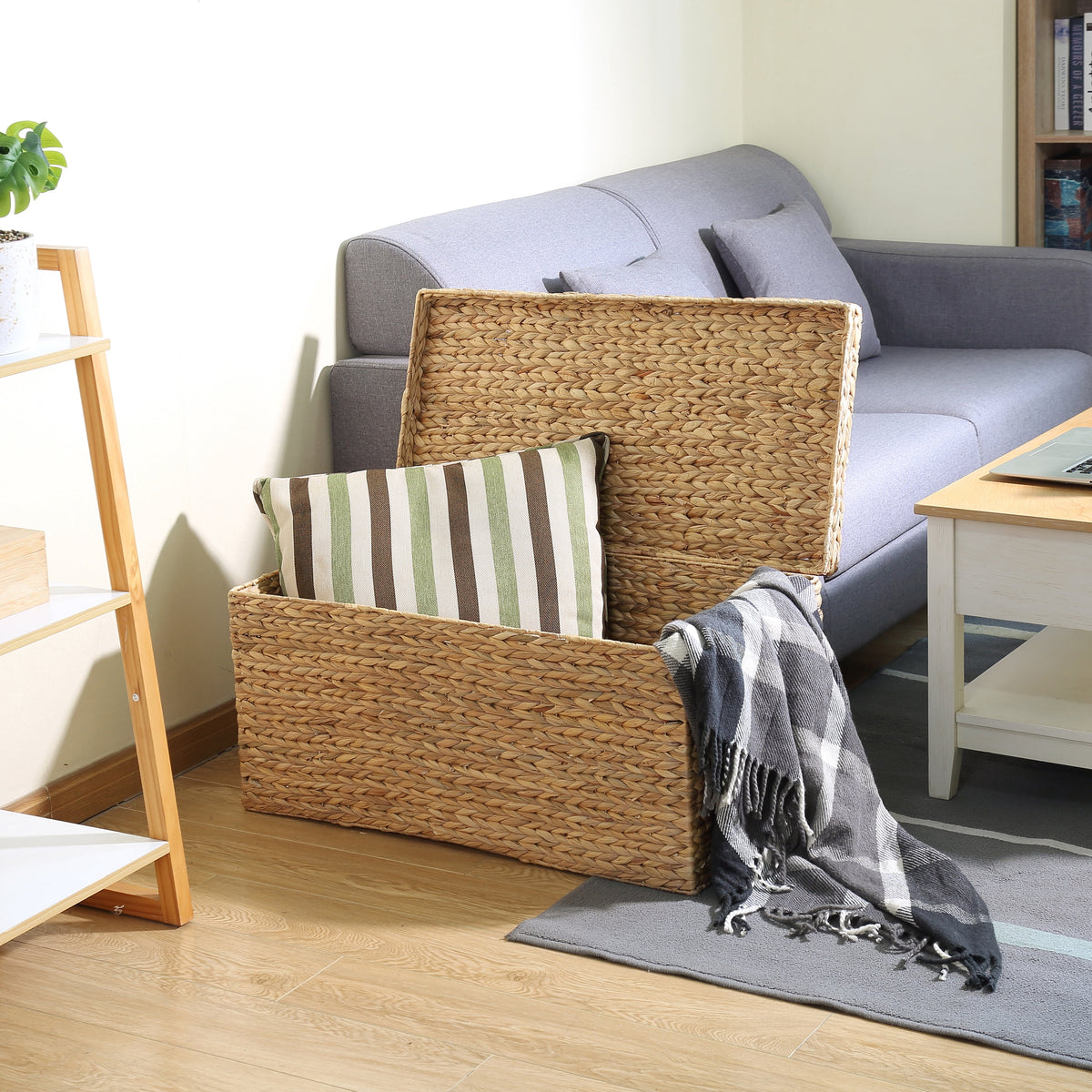 AVERO™ XL Hyacinth Storage Trunk - AVERO™