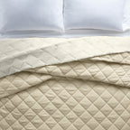AVERO™ Down Alternative Comforter, Full/Queen - Blue, Reversible