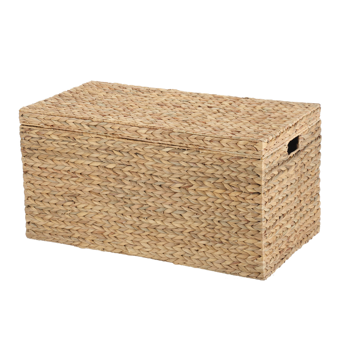 AVERO™ XL Hyacinth Storage Trunk - AVERO™