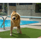 AVERO™ (2 pack) Green Faux Grass Outdoor Rug, 5'x7' - AVERO™