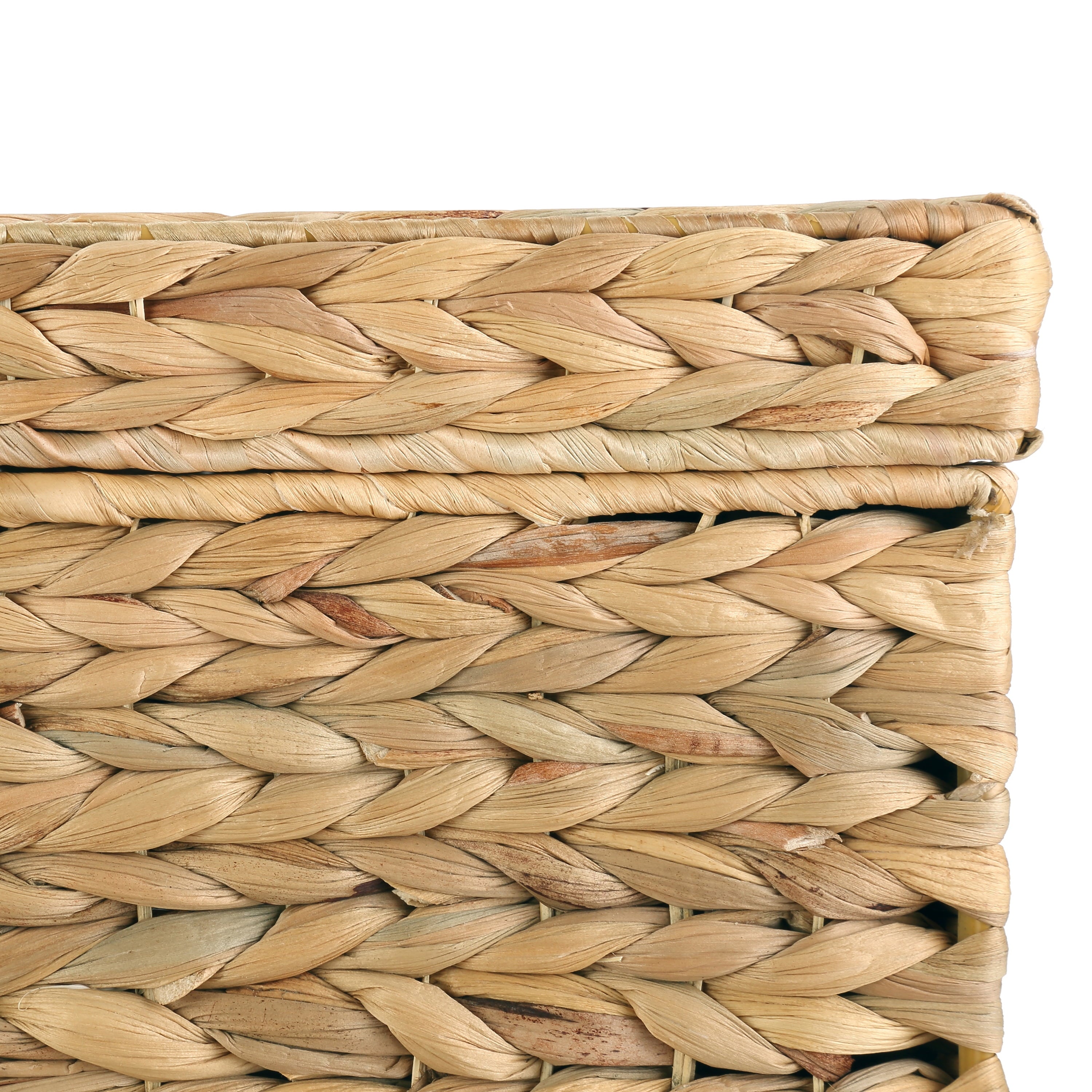 AVERO™ XL Hyacinth Storage Trunk - AVERO™