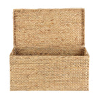AVERO™ XL Hyacinth Storage Trunk - AVERO™