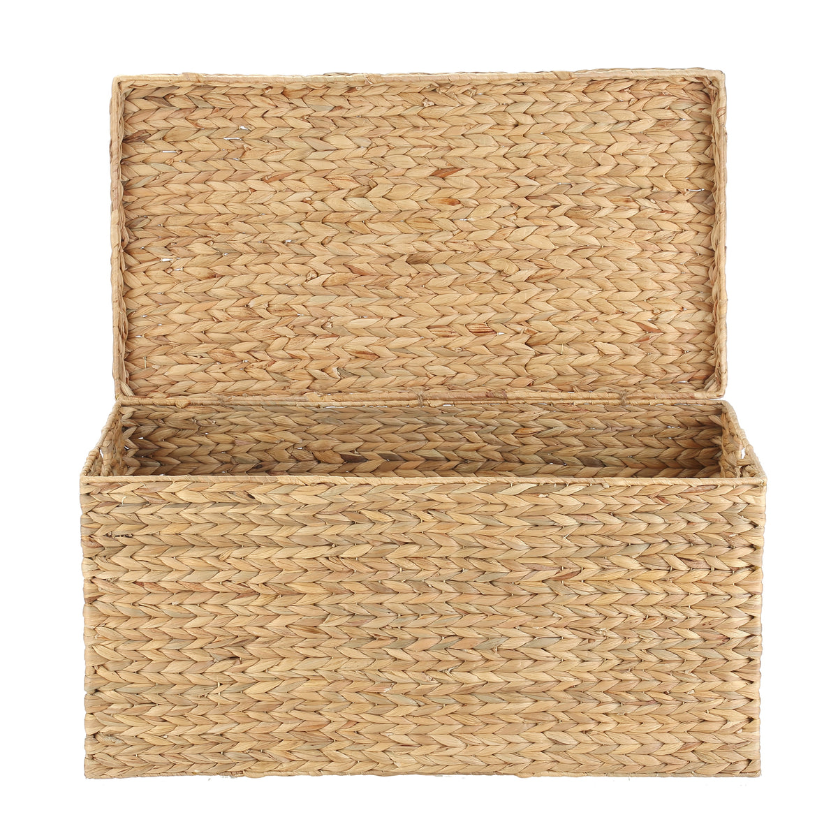 AVERO™ XL Hyacinth Storage Trunk - AVERO™