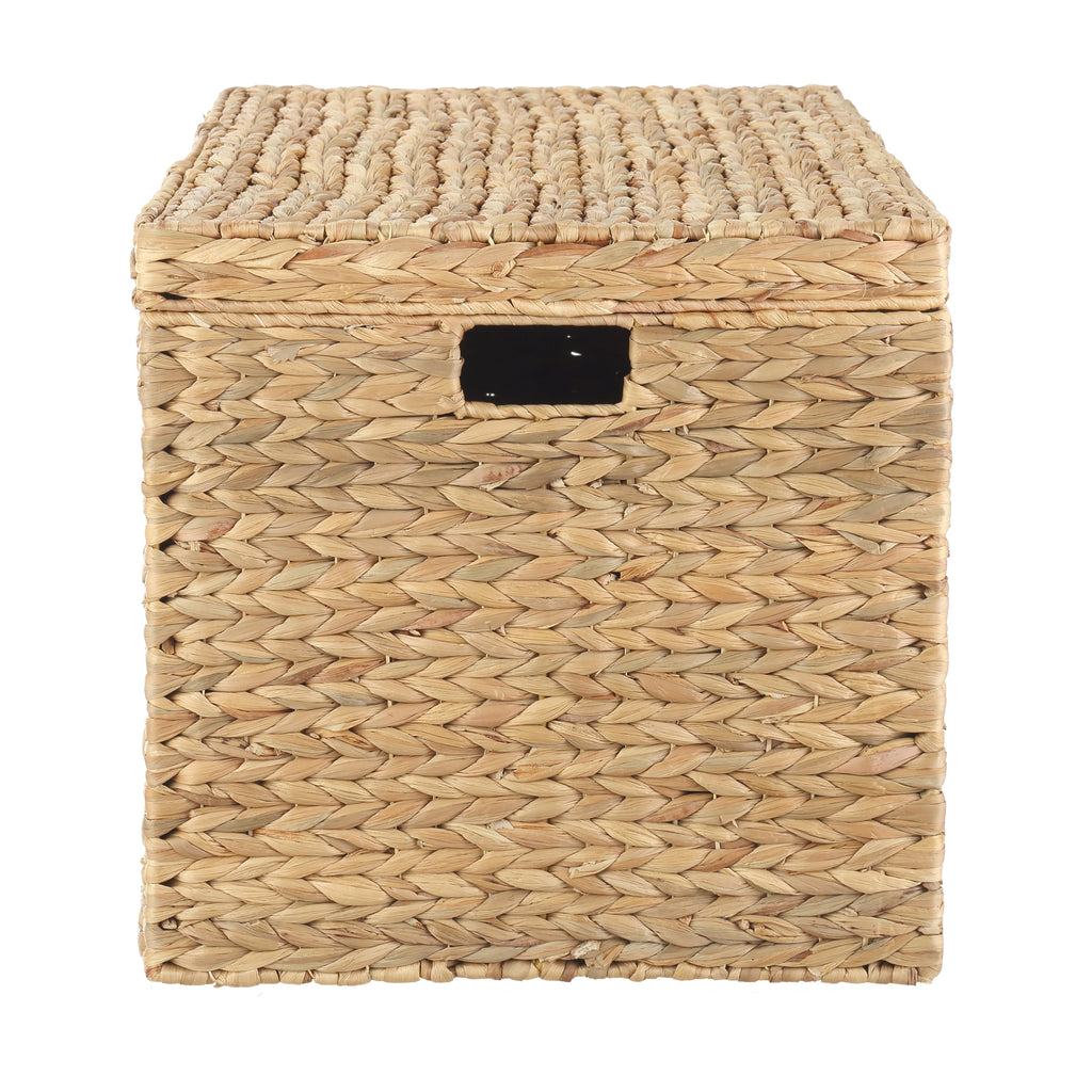 AVERO™ XL Hyacinth Storage Trunk - AVERO™