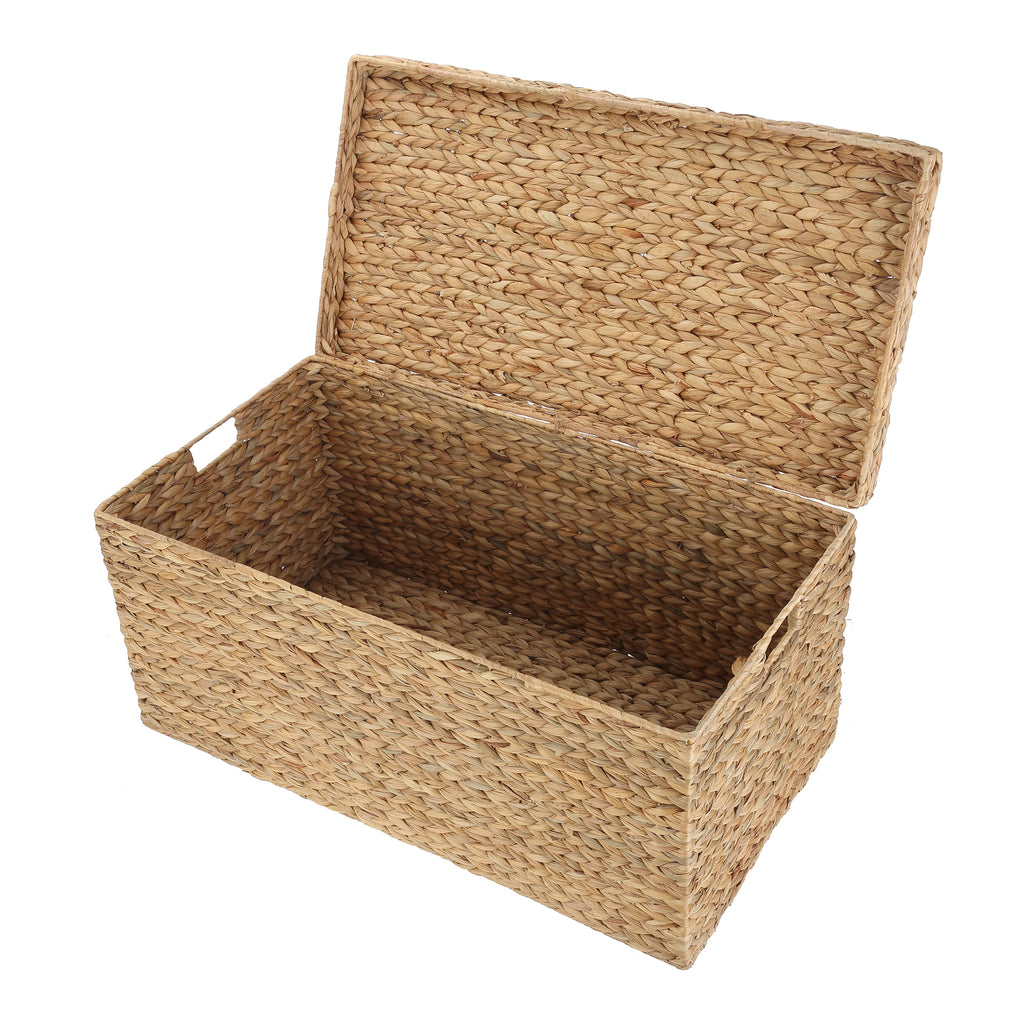 AVERO™ XL Hyacinth Storage Trunk - AVERO™
