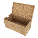 AVERO™ XL Hyacinth Storage Trunk - AVERO™