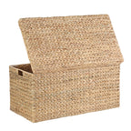 AVERO™ XL Hyacinth Storage Trunk - AVERO™