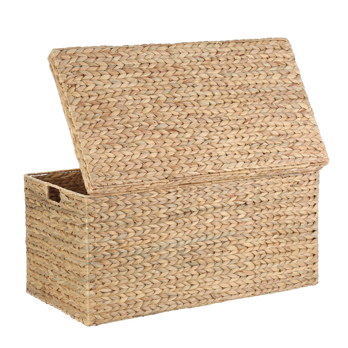 AVERO™ XL Hyacinth Storage Trunk - AVERO™