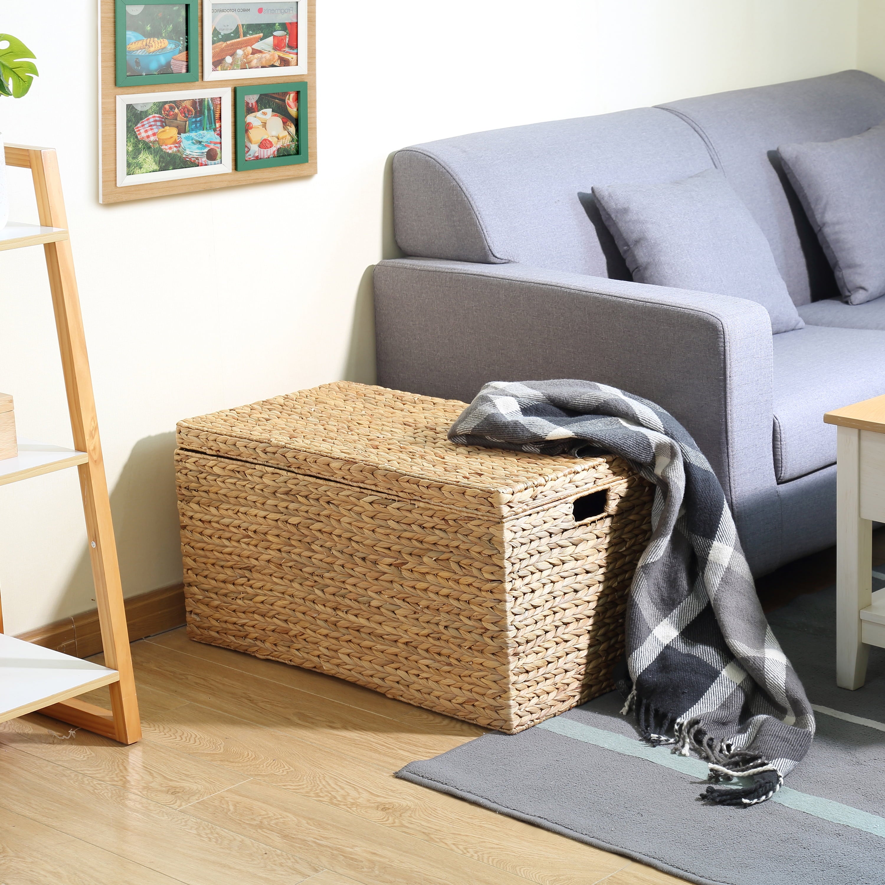 AVERO™ XL Hyacinth Storage Trunk - AVERO™